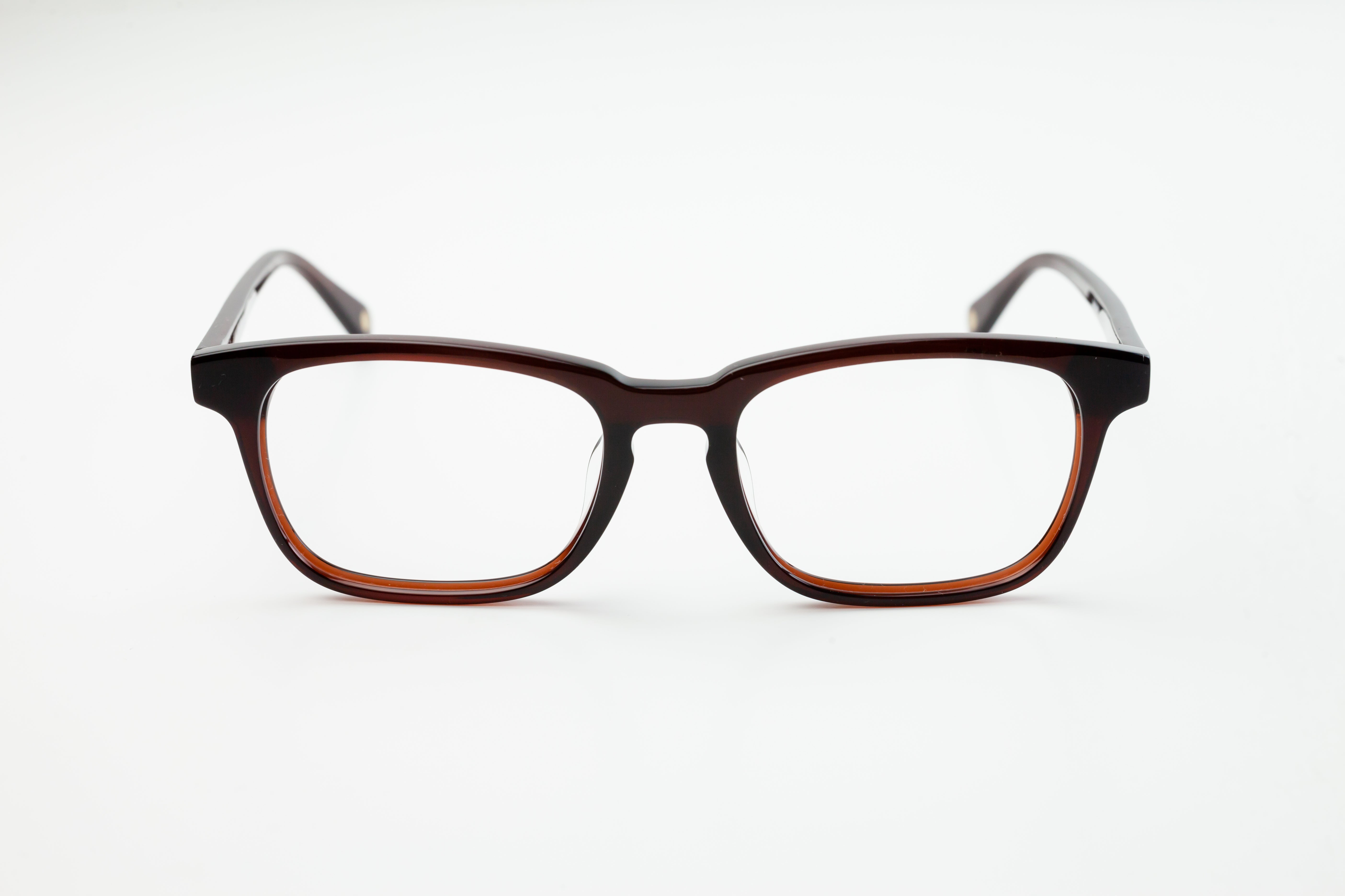 Mott & Bayard ALBANY