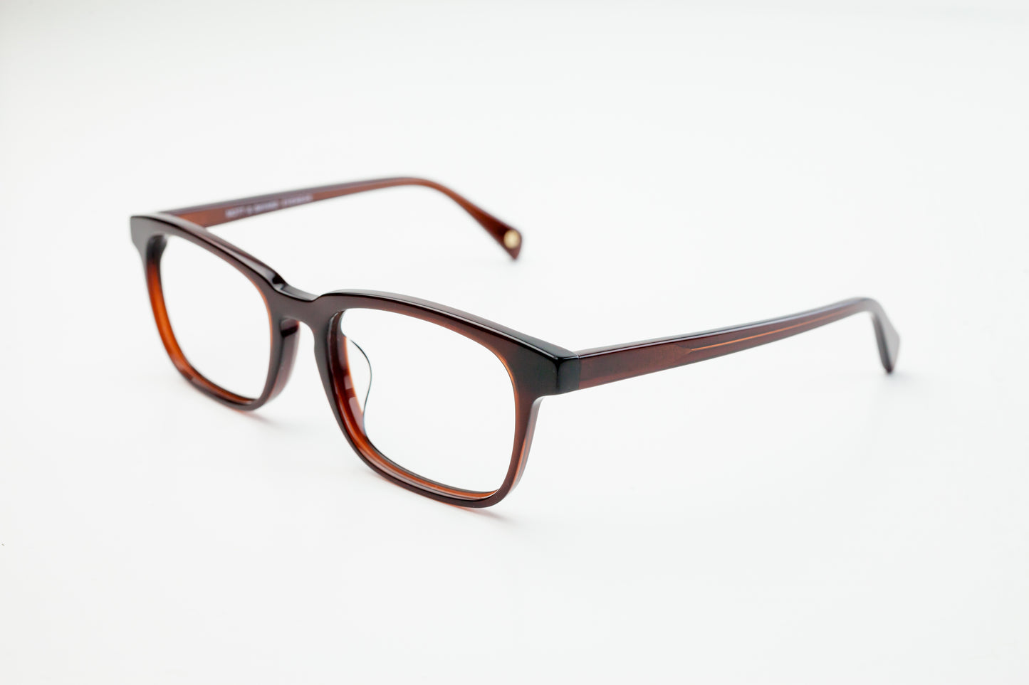 Mott & Bayard ALBANY